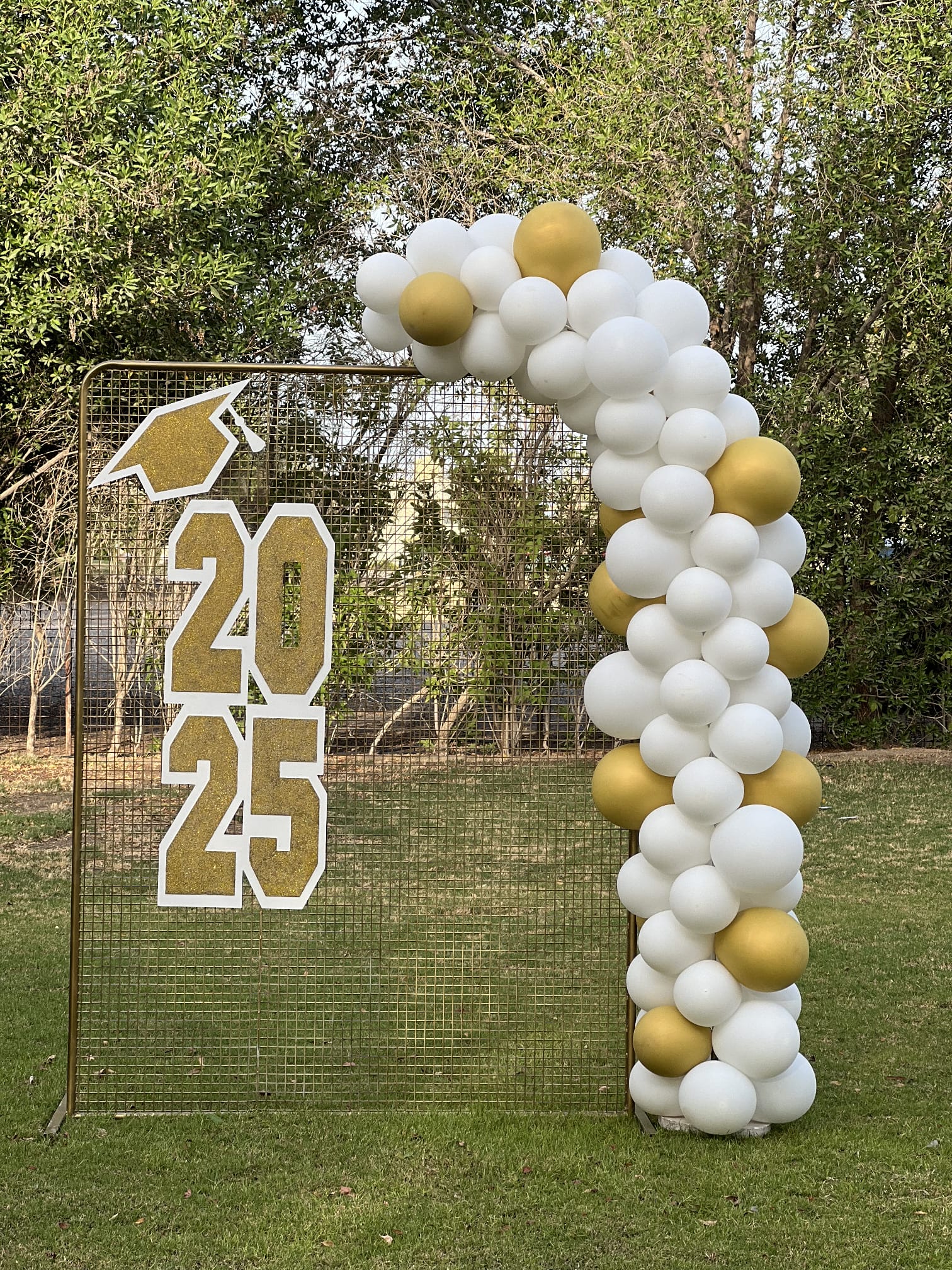 Golden Mesh - Graduation