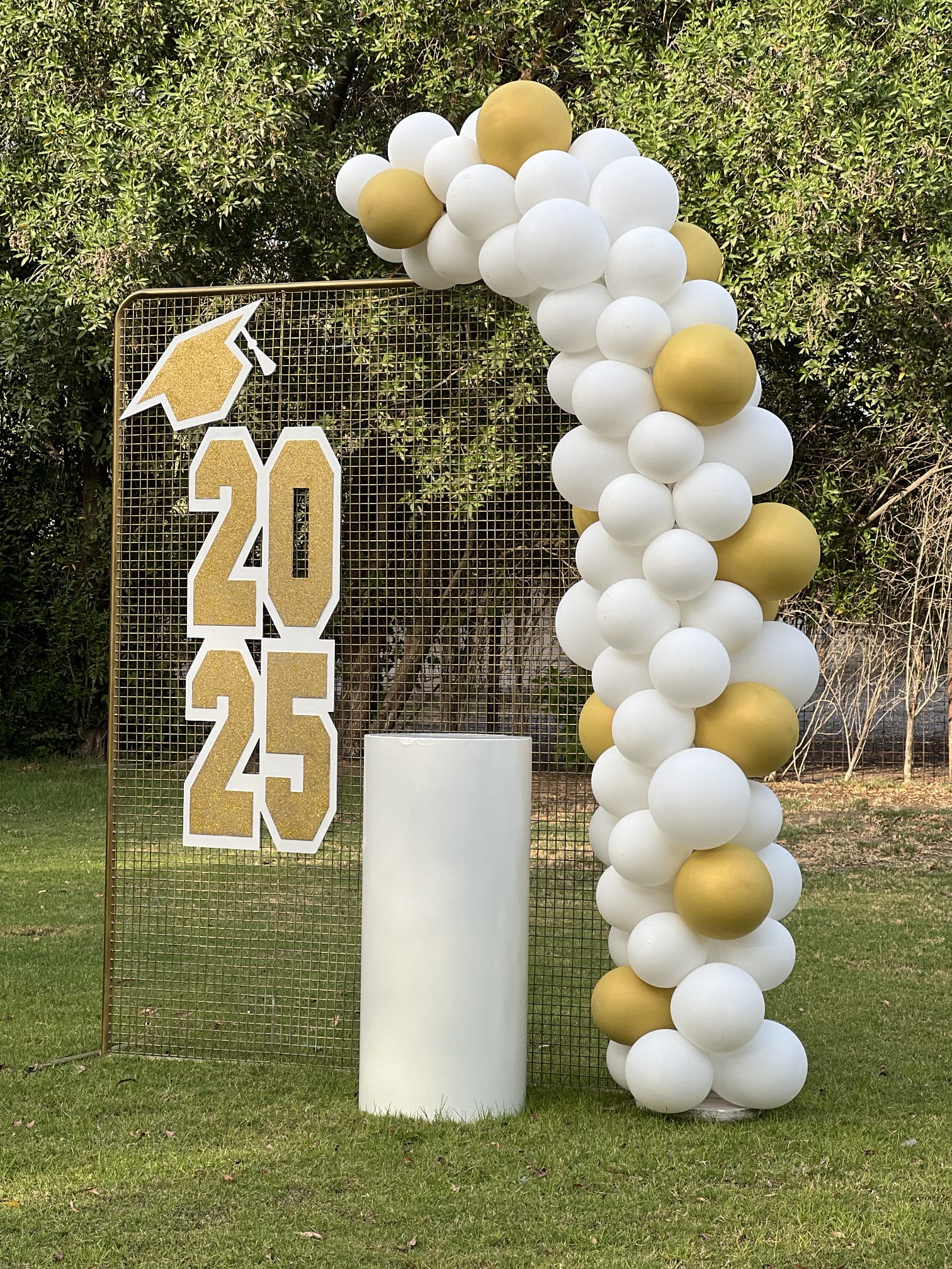 Golden Mesh - Graduation