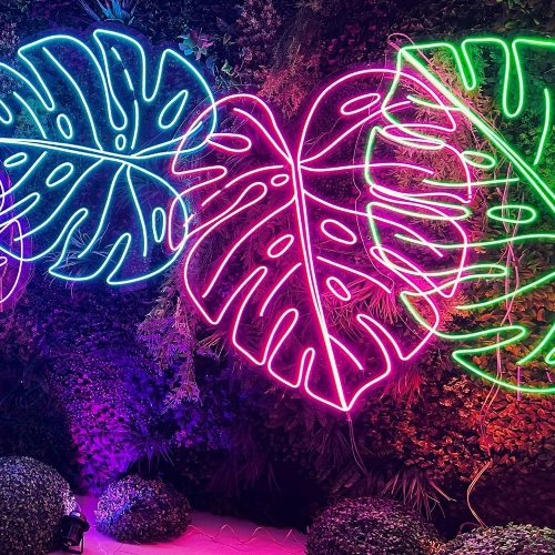 Summer Neon Theme