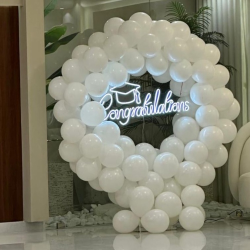 Balloon Graduation Backdrop