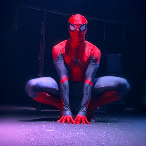 Spiderman Cosplay