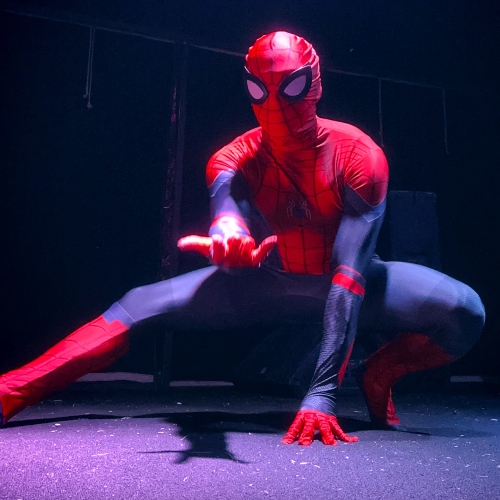 Spiderman Cosplay