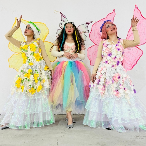 Fairy Bubble Show