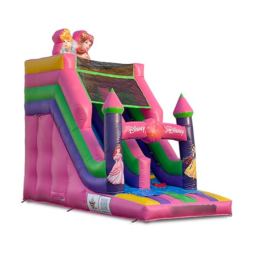 Disney Princesses Bouncer