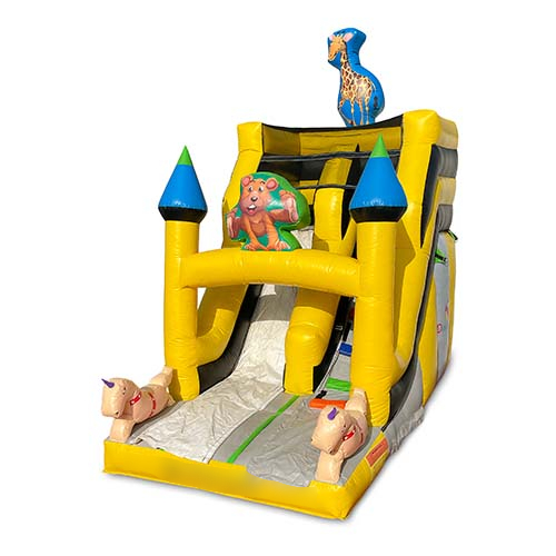 Happy Giraffe Bouncer