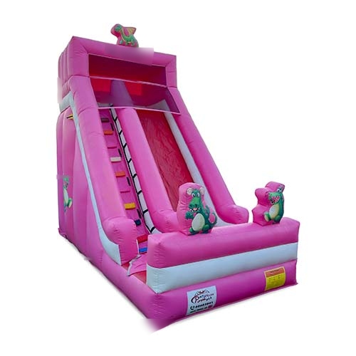 Pink Dino Slide