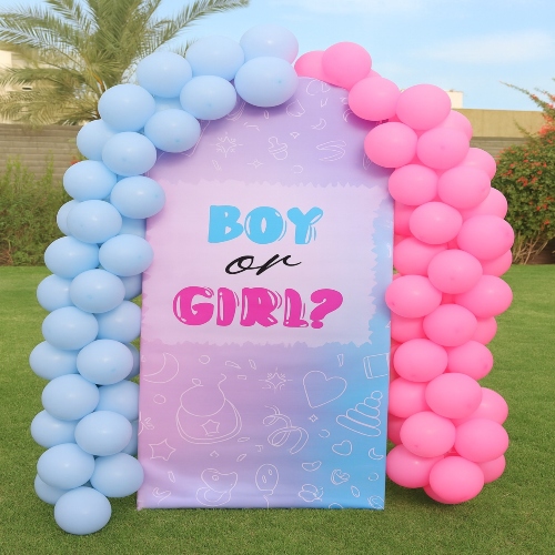 Gender Reveal “Boy or Girl?” Backdrop