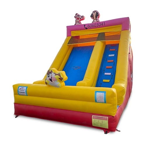 Disney Slide
