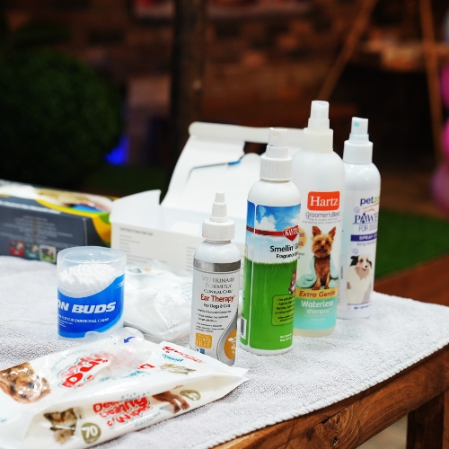 Pet Grooming Workshop