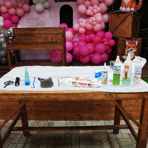 Pet Grooming Workshop