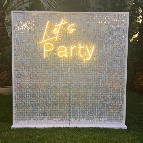 Silver Sparkle Party Backdrop
