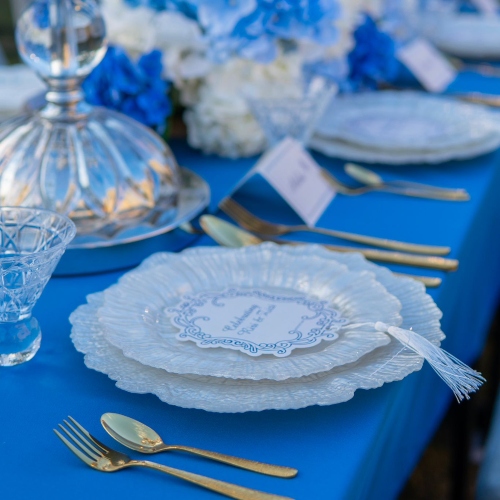 Royal Chandelier Theme (Backdrop + Table Setup)