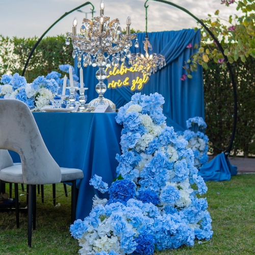 Royal Chandelier Backdrop