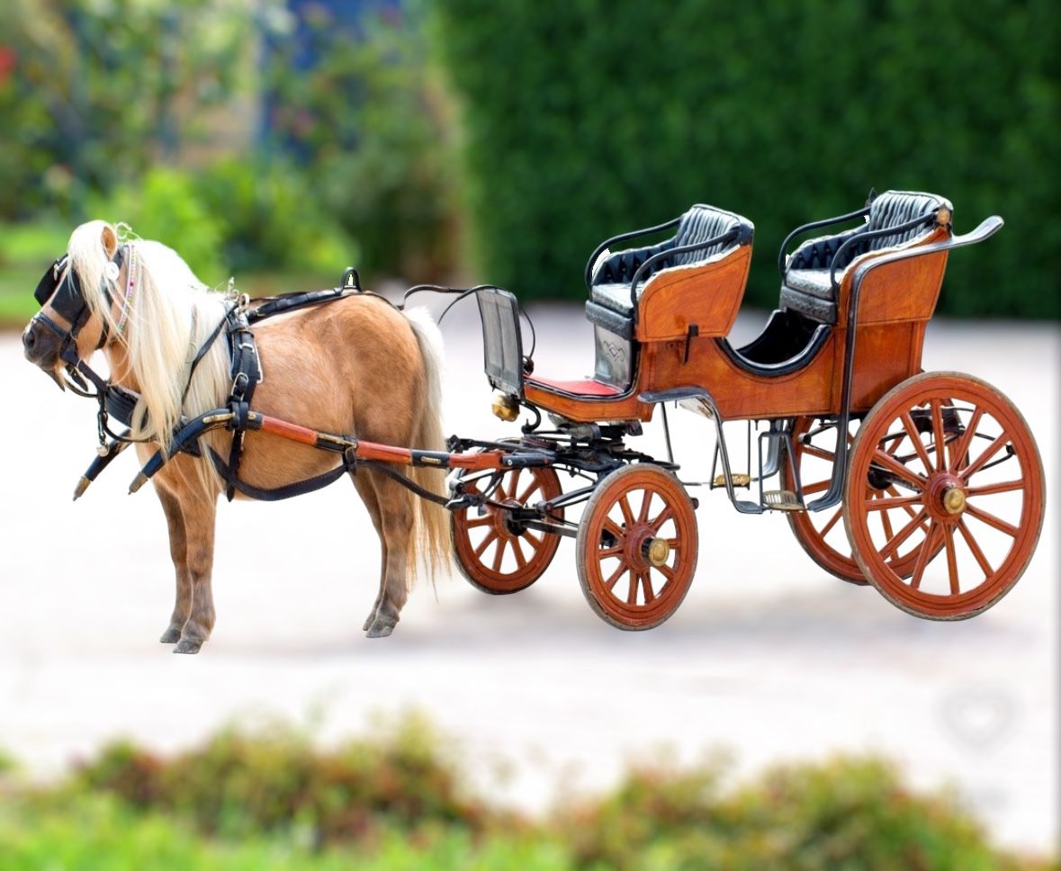 Classic Pony Carriage