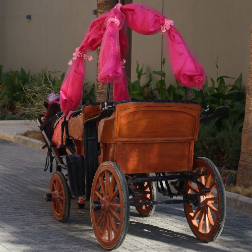 Classic Pony Carriage