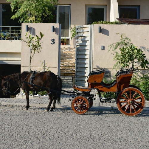 Classic Pony Carriage