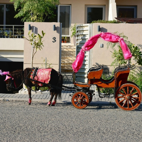 Classic Pony Carriage