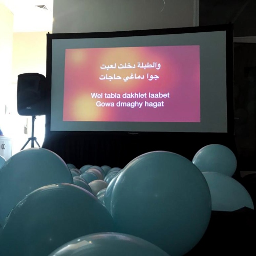 Karaoke Experience