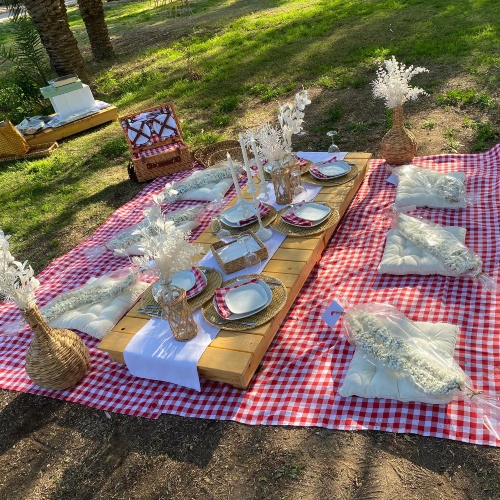 Picnic Setup