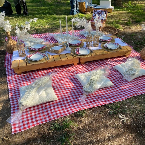 Picnic Setup