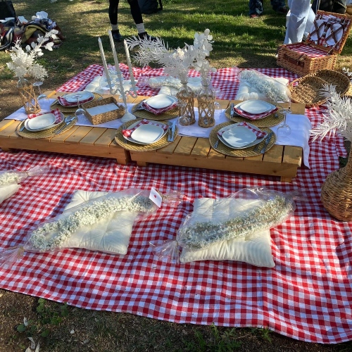 Picnic Setup