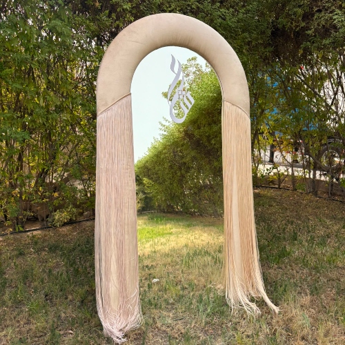Fringe Mirror