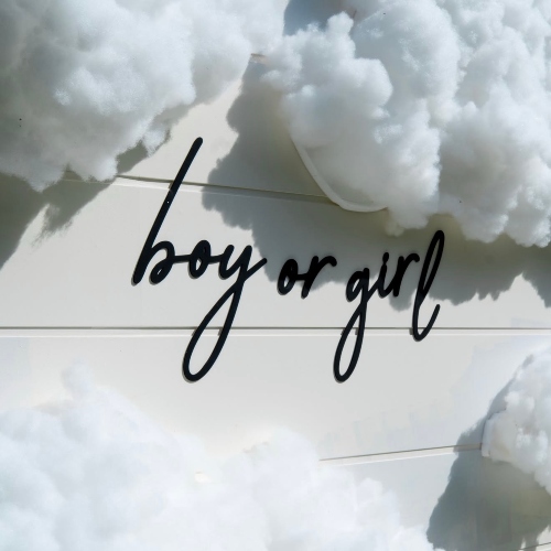Cloud Gender Reveal