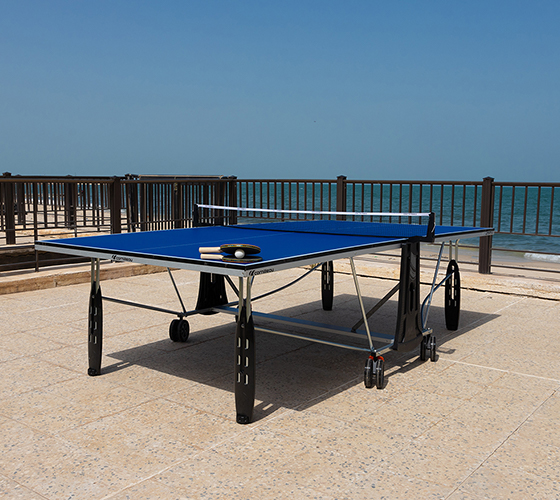 Table Tennis