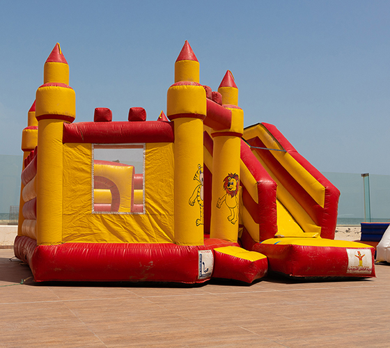 Castle Slide Inflatable