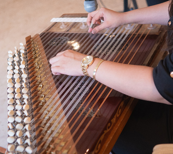 Lady Qanun Musician