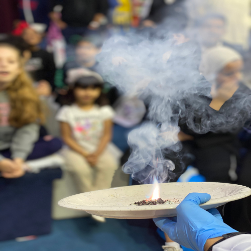 Fun Science Show