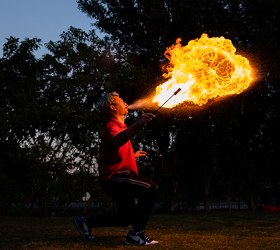 Fire Show