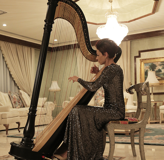 Violetta Harpist